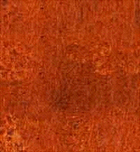 SUPERFICIAL TREATMENT